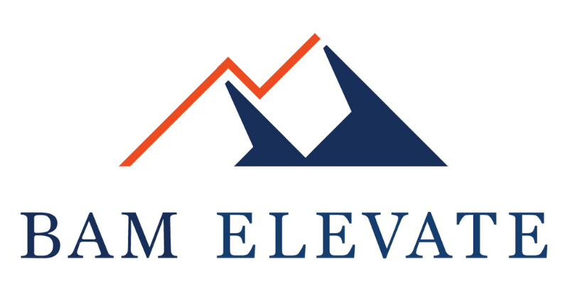 BAM Elevate logo